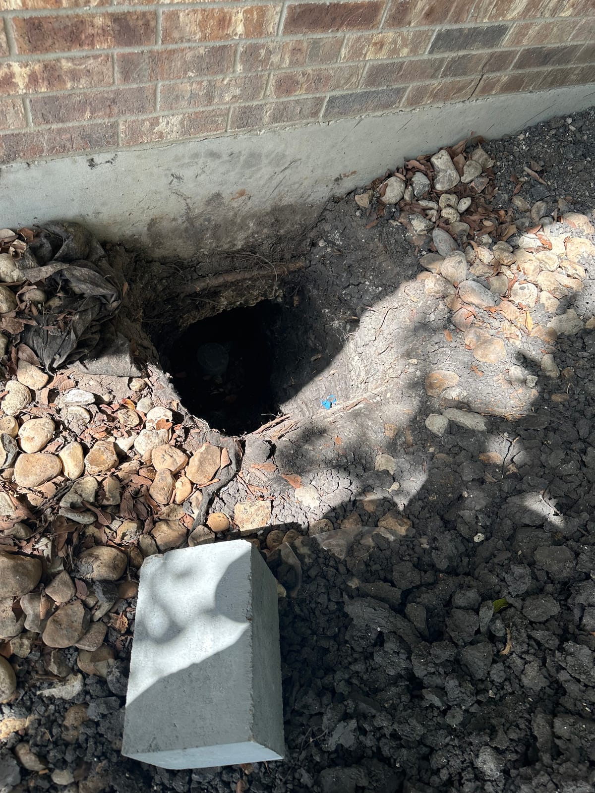Foundation repair on a Central Texas home of the kind Motmot performs in Kyle, TX