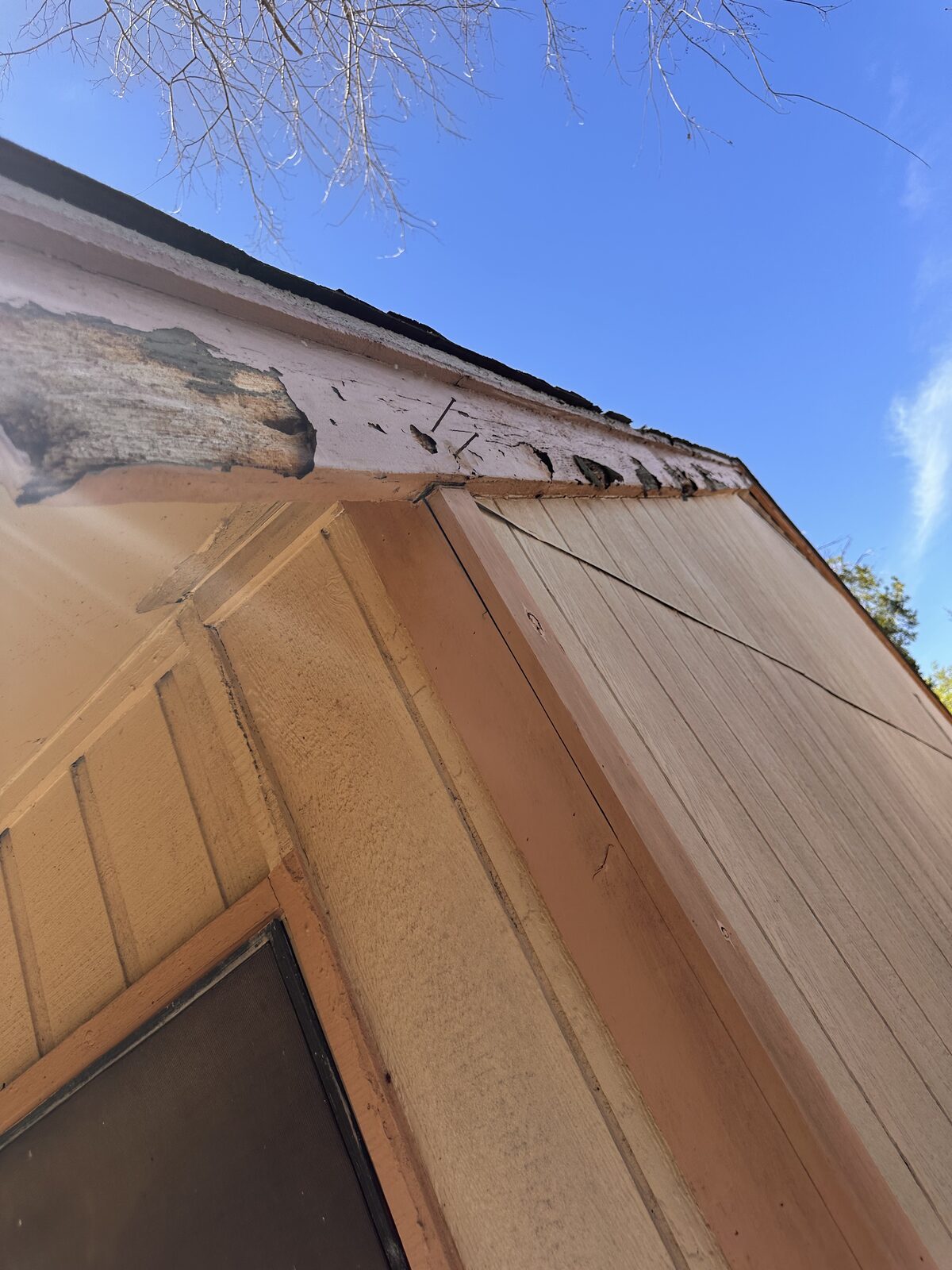 Deteriorated fascia and separating trim at a gable corner of a wood-sided home, checked during a foundation visit
